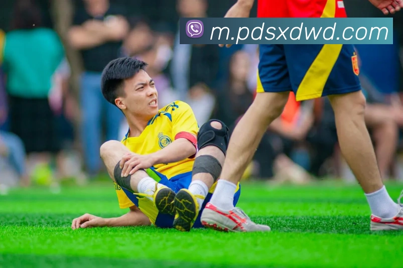 多媒体互动体验